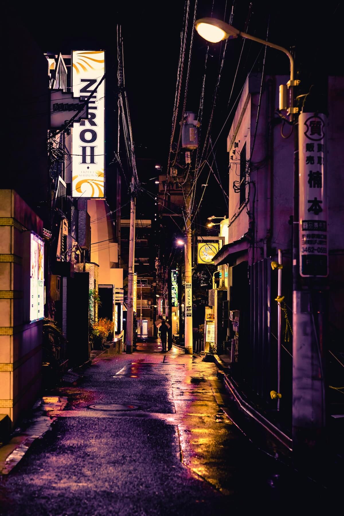 Eating Tokyo: A Field Guide to the World's Greatest Food City