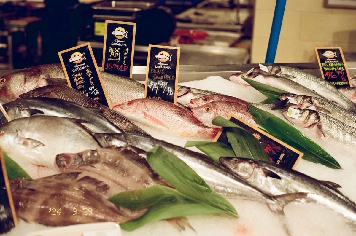 Fresh fish displayed on ice at a seafood market