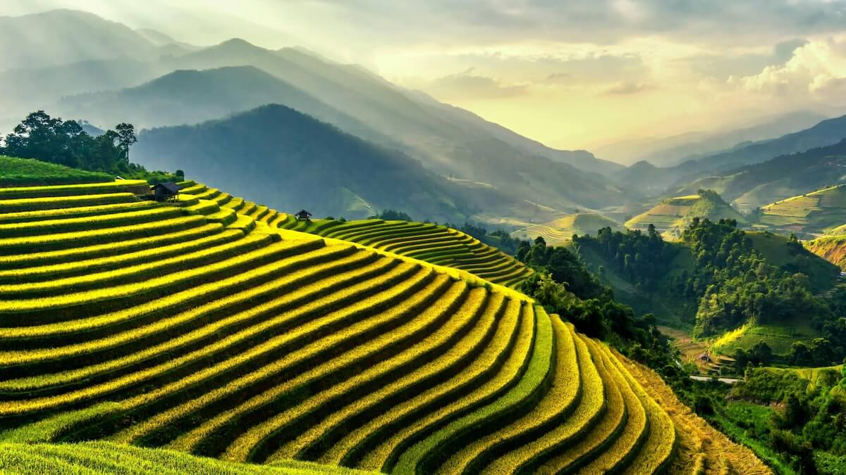 Green rice terraces on mountain slopes with panoramic valley view