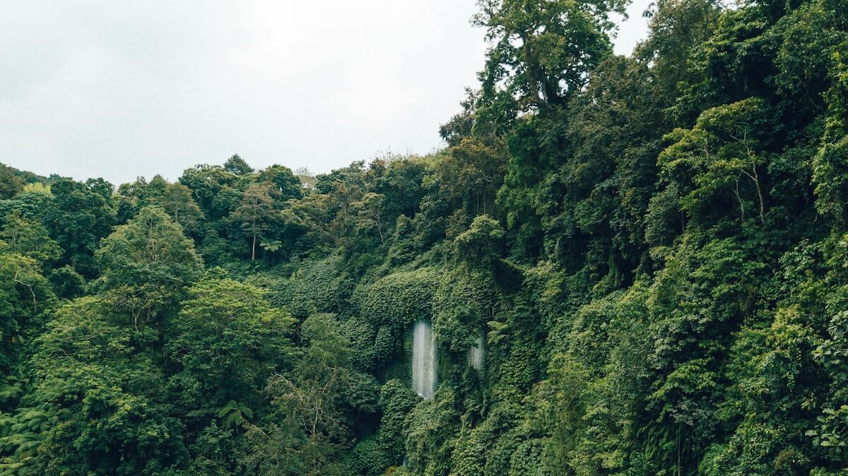 Stunning waterfall cascading through lush rainforest greenery
