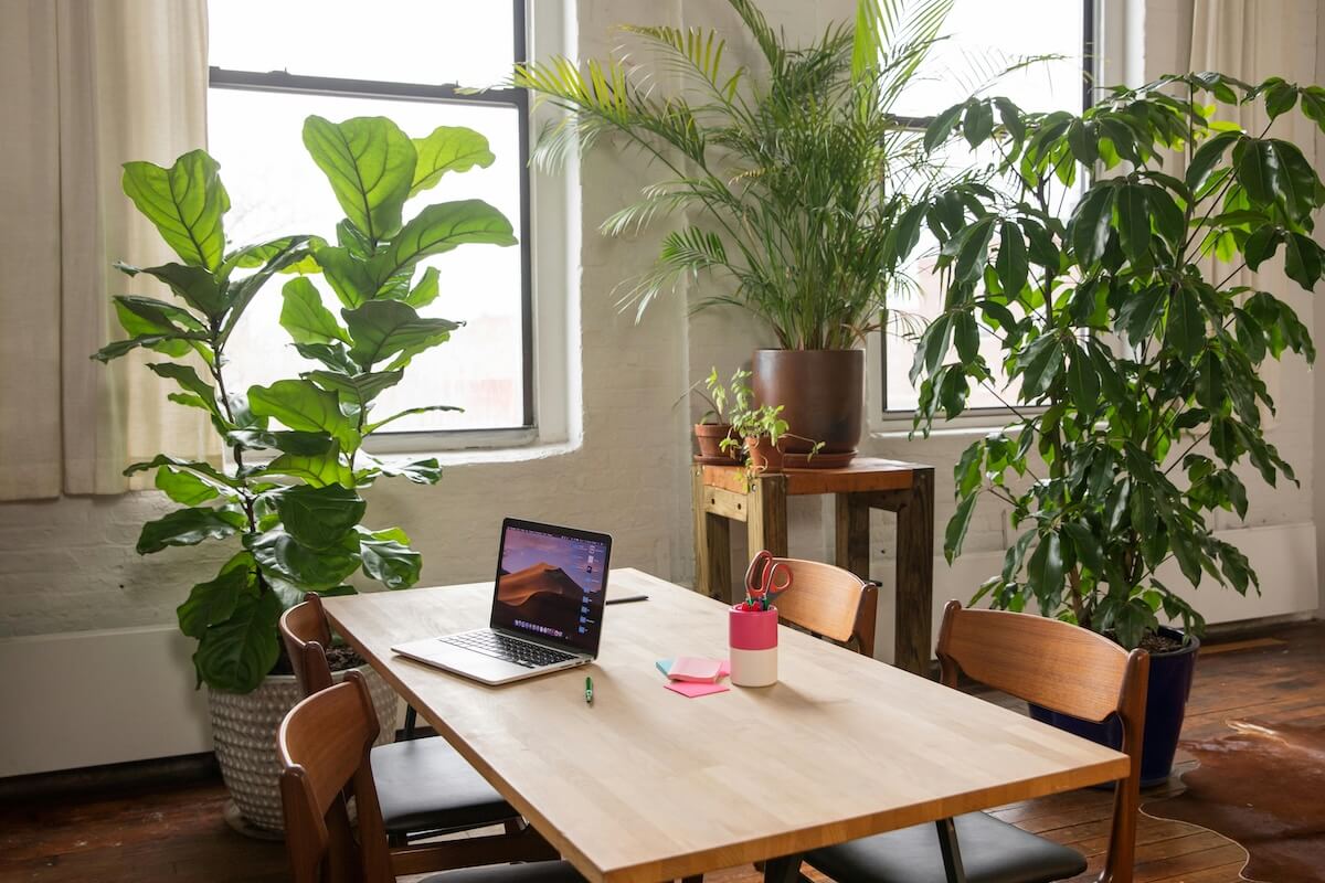 Bright modern office interior with indoor plants and natural light