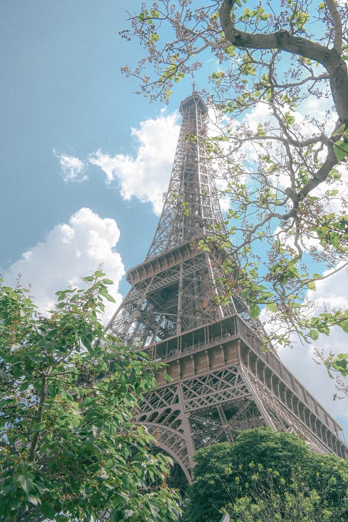 Eiffel Tower surrounded by spring foliage under blue sky in Paris