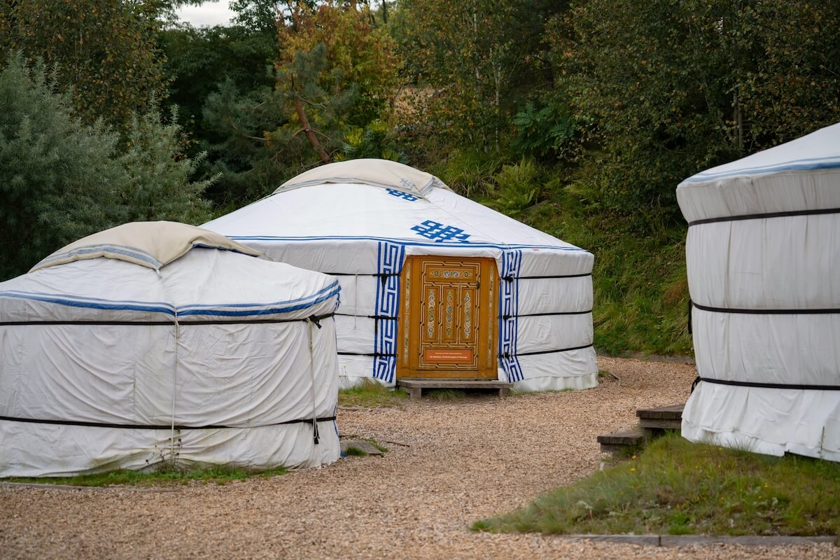 Living with Mongolian Nomads: What Two Days in a Ger Actually Teaches You