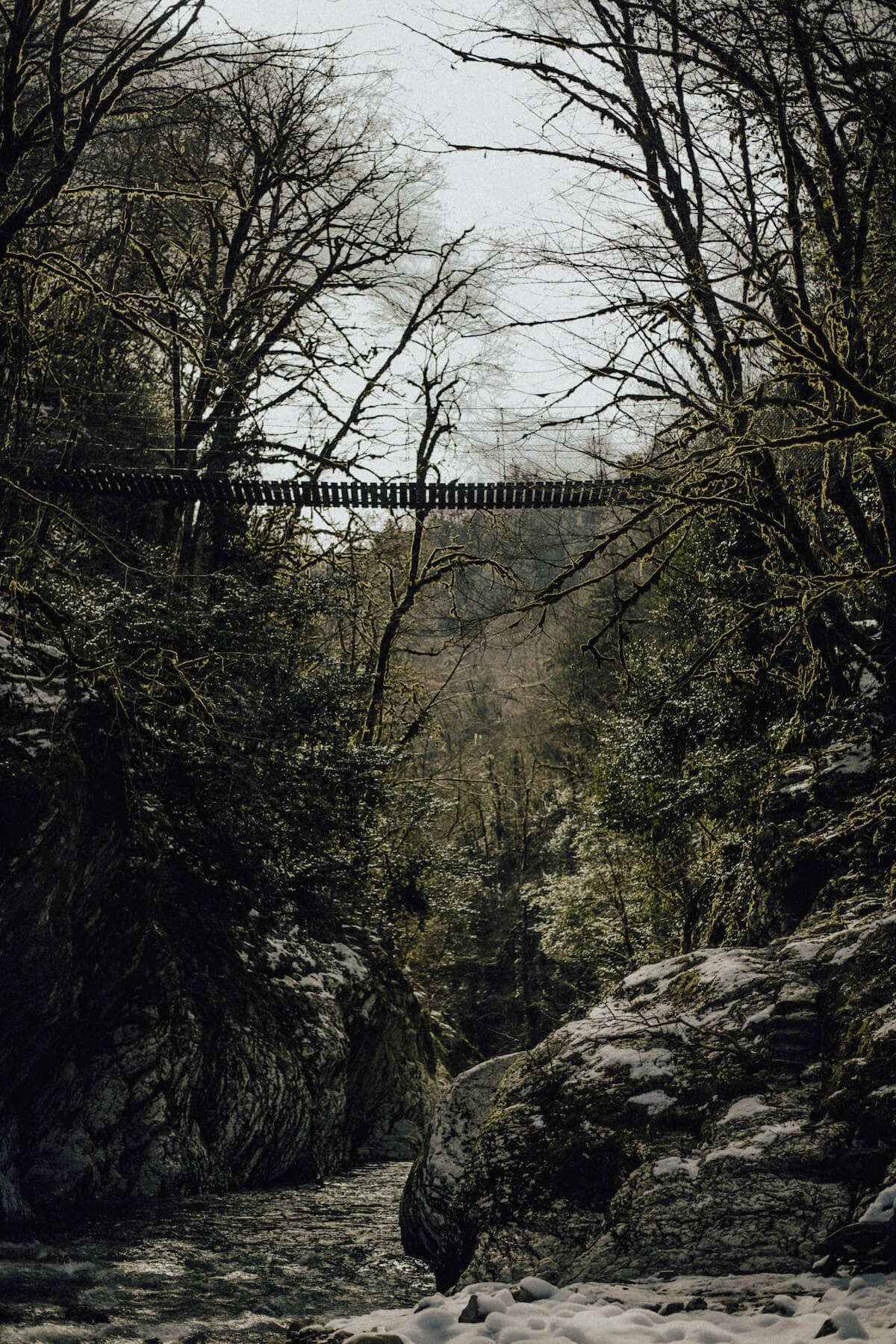 Suspension bridge over a river between mountains in a forested gorge