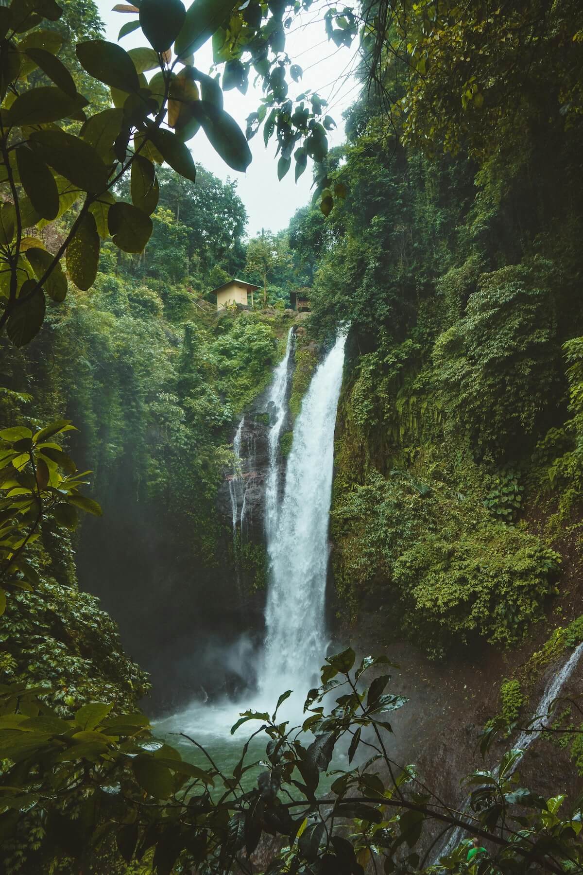 Stunning waterfall surrounded by lush tropical rainforest